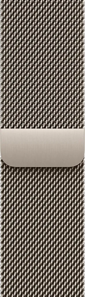 Cinturino Apple MGHV4ZM/A Maglia Milanese Acciaio Inox Naturale 40mm