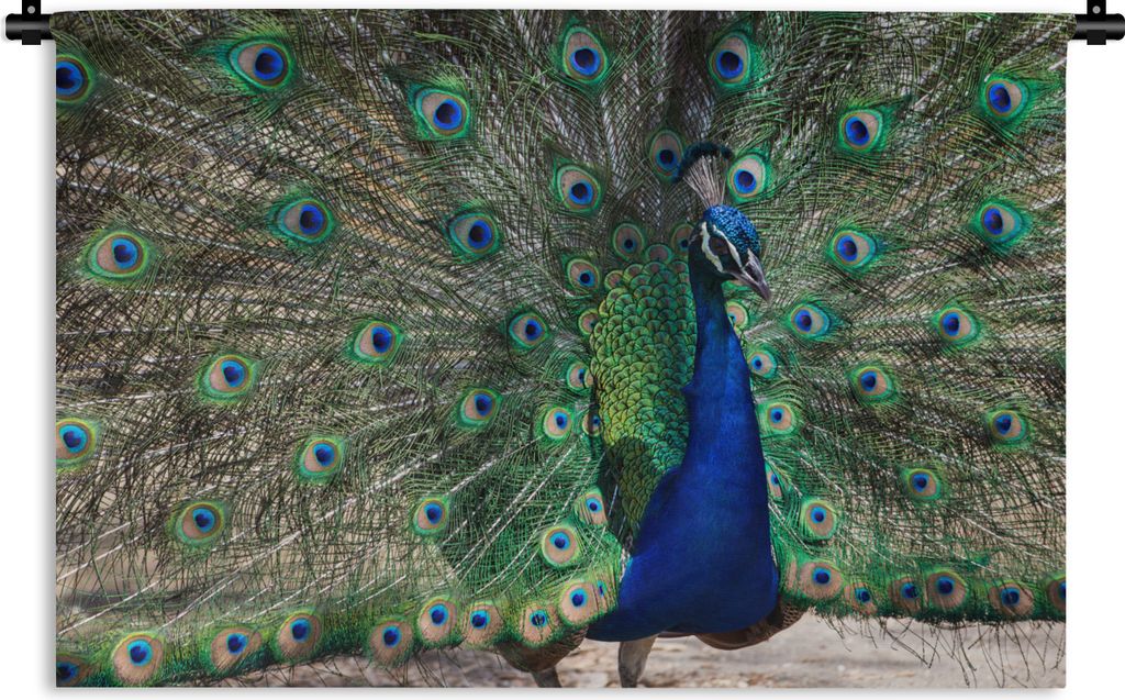MuchoWow Wandteppich Wandbehang Pfauenfedern - Blau - Vogel 120x80 cm Tapisserie Dekoration Wandtuch - Wanddekorationen - Wandtücher