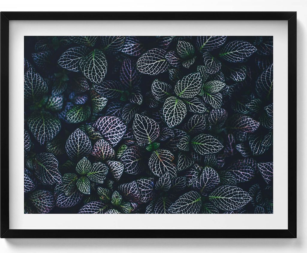 Dunkle wilde Blätter– Wandbild mit Rahmen – Gerahmtes Bild – Wanddekoration – 80x60 cm – Schwarz Rahmen
