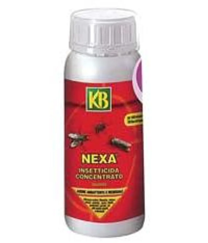 Stopper les invasions d'insectes avec l'insecticide Deadyna concentré 500 ml