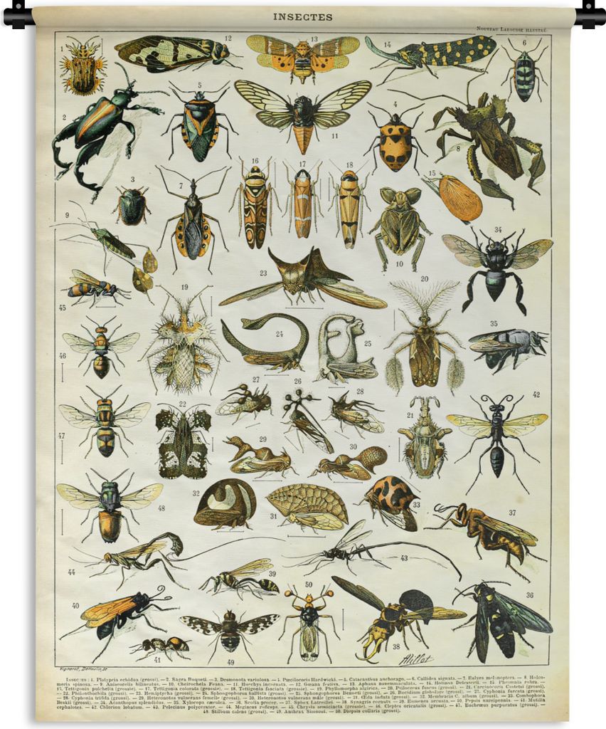 MuchoWow Wandteppich Wandbehang Insekten - Tiere - Jahrgang 90x120 cm Tapisserie Dekoration Wandtuch - Wanddeko