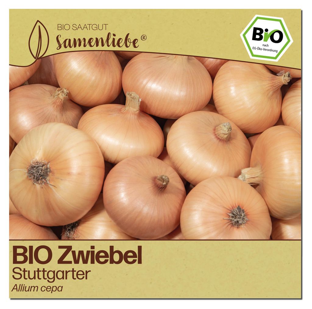 Samenliebe Zwiebel Samen | Stuttgarter - gelbe & würzig & flachrund - samenfestes Saatgut