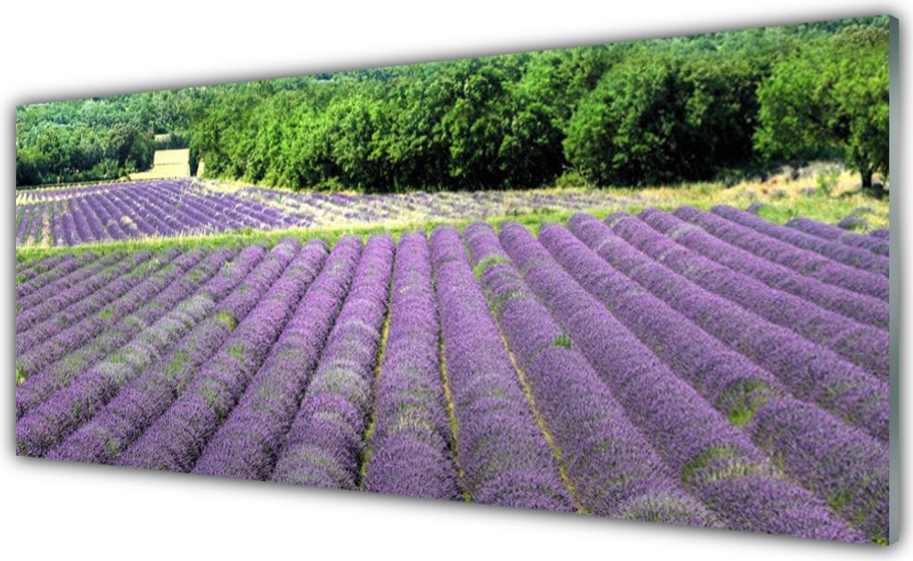 Glasbilder 125x50 Wandbild Druck auf Glas Wiese Blumen Natur
