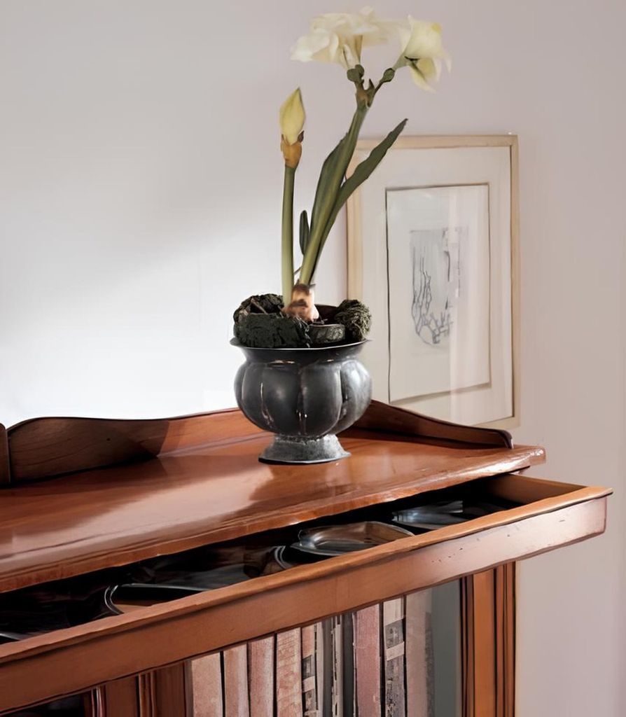 Bücherregal Vitrine Vitrinenschrank Klassischer Schrank Bücherschrank Holz Regal