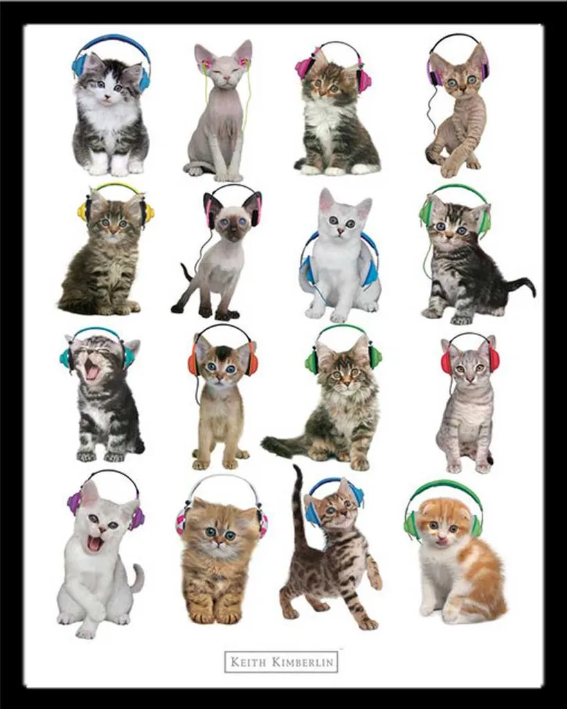 Regalo Ideale: Poster Kimberlin Gattini Cuffie + Cornice Shinsuke MDF
