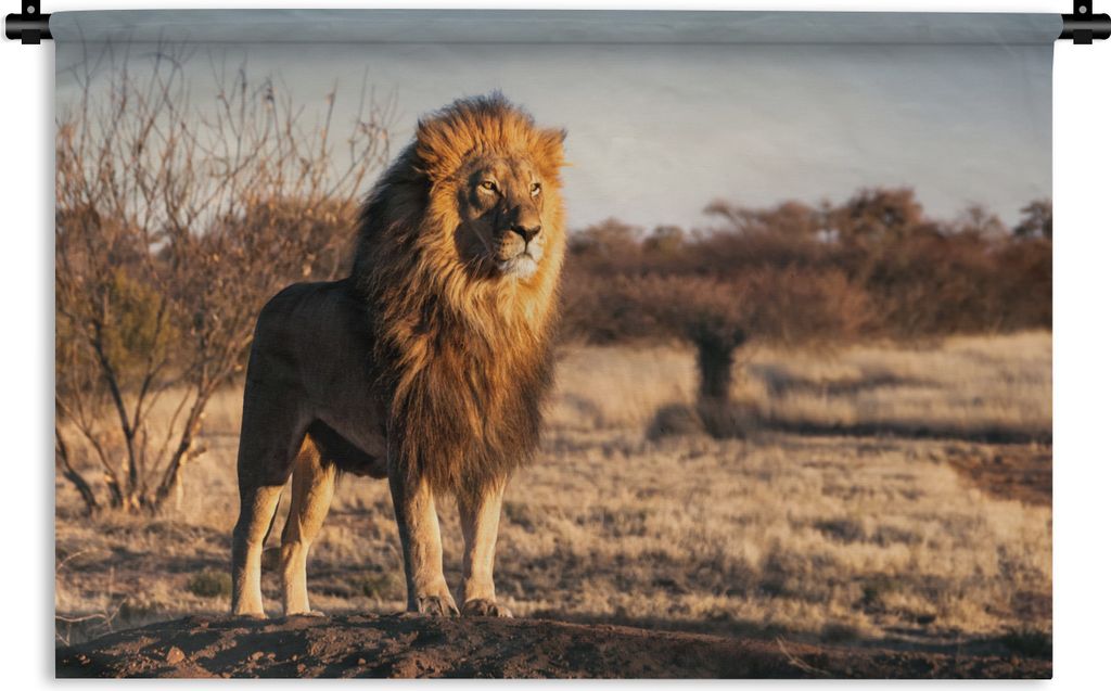 MuchoWow Wandteppich Wandbehang Löwe - Hügel - Sonne 60x40 cm Tapisserie Dekoration Wandtuch - Wanddekorationen