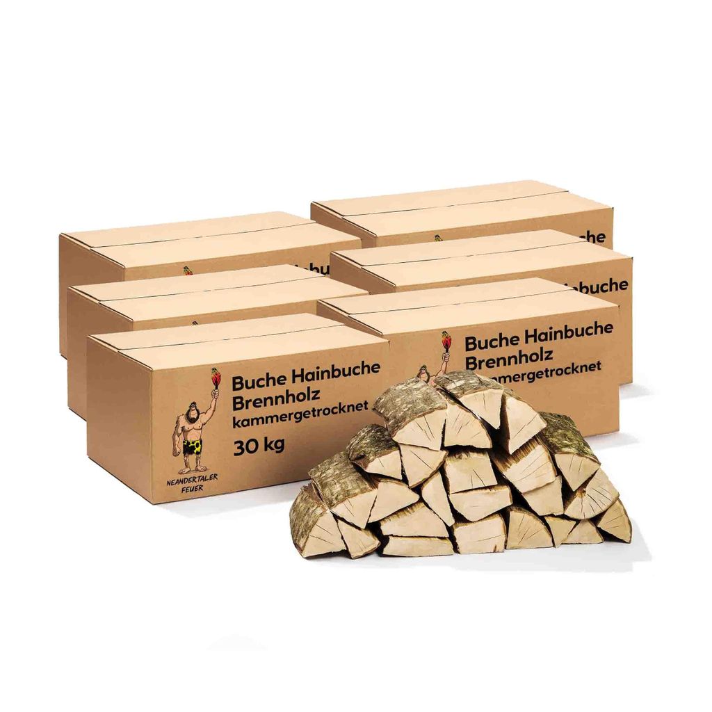 Neandertaler Feuer Brennholz Buche Kaminholz - Buchenholz Grillholz 25 cm 180 kg | Hartholz Feuerholz | Holz für Grill Kamin Smoker Ofen | Firewood