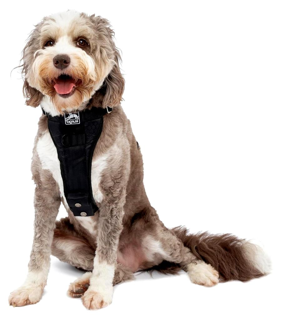 TRU-Fit Hundegeschirr, Crash-Test-er Autosicherheitsgurt, Für Hunde von 2 bis 5 kg, Größe L, Schwarz