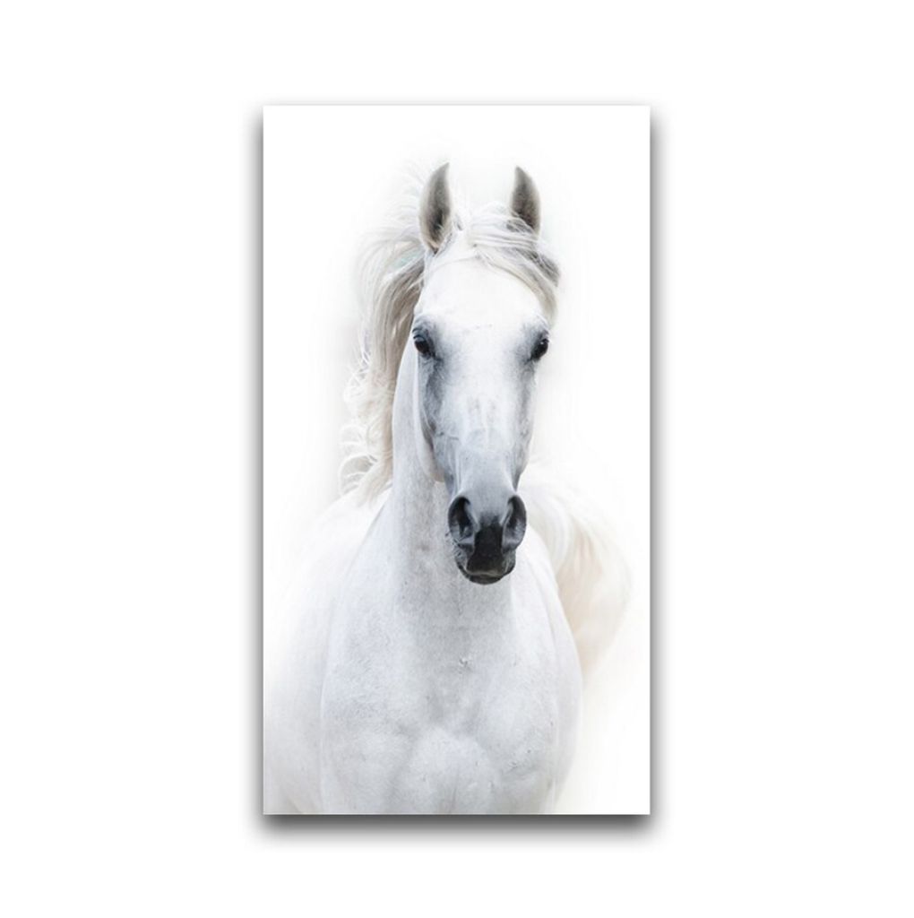 TPFLiving Kunstdruck LW-904 (OHNE RAHMEN) Poster - Leinwand - Wandbild - Hochauflösender Giclée-Druck, langlebig und hochwertig - Weißes Pferd -...