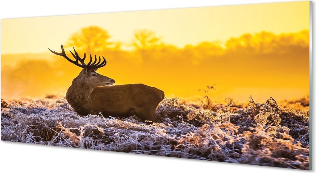 Glasbilder 125x50 Wandkunst Deer Winter Sonnenaufgang