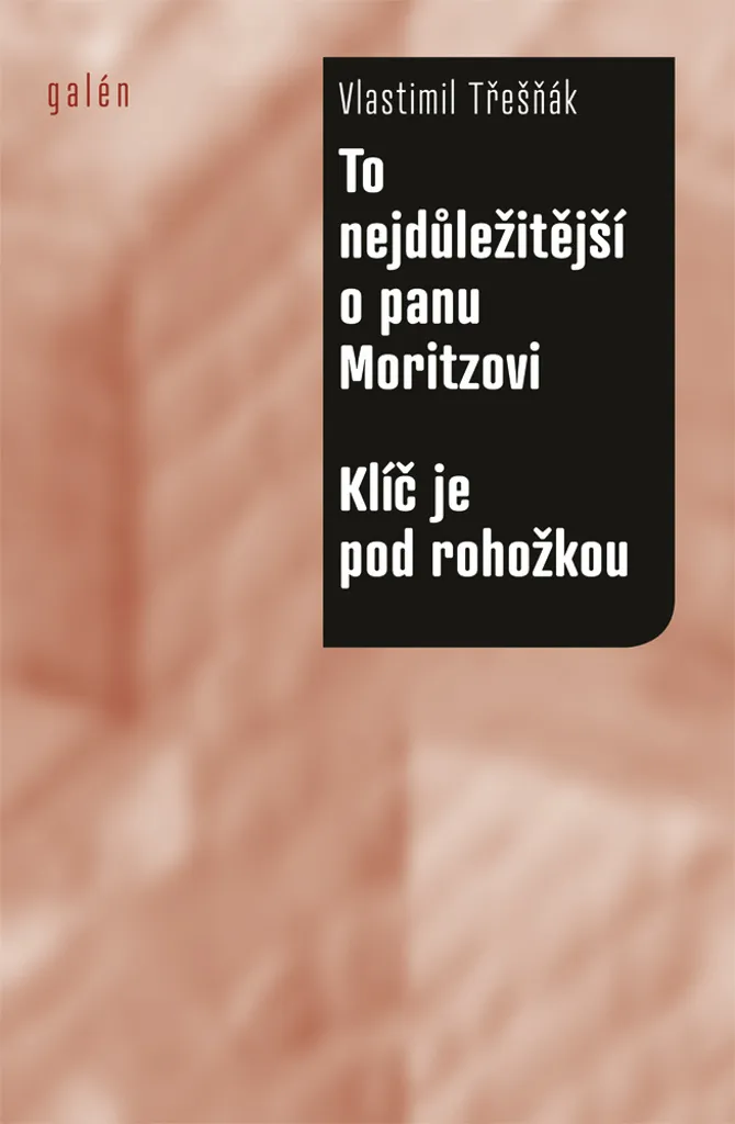 To nejdůležitější o panu Moritzovi par Vlastimil Třešňák - Roman Culte