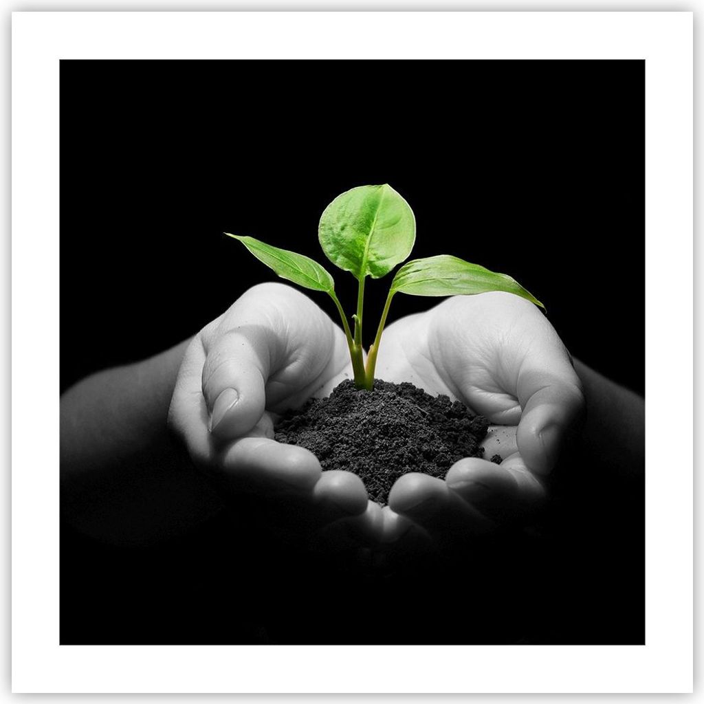 Poster - Poster ohne Rahmen - Natur Pflanze Wissenschaft Schutz - 50x50 cm - Wand Bild - Wanddeko - Wandbilder - Kunstposter - Wandposter - Bilder ...