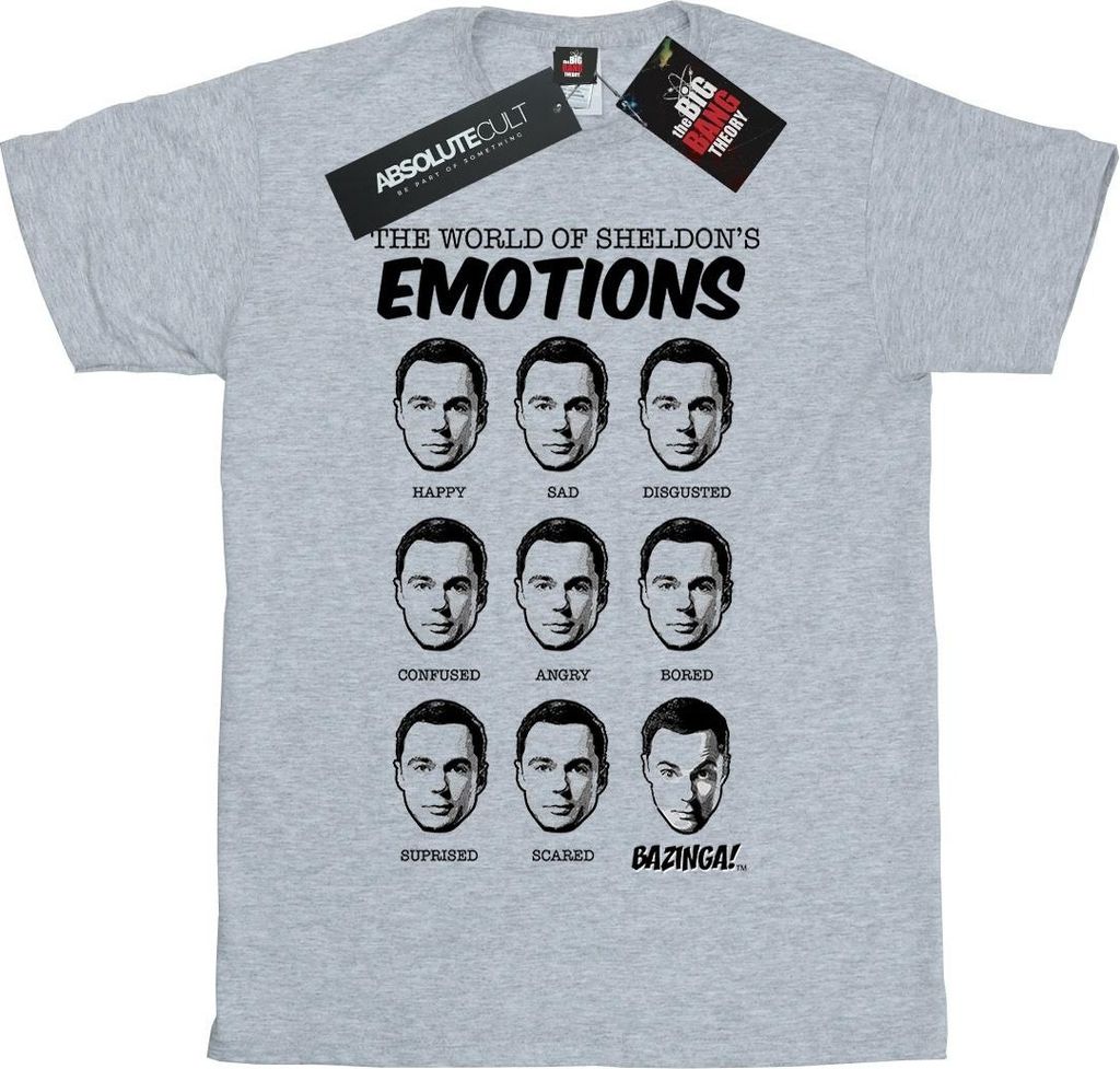 The Big Bang Theory - T-Shirt für Jungen BI593 (152-158) (Grau)