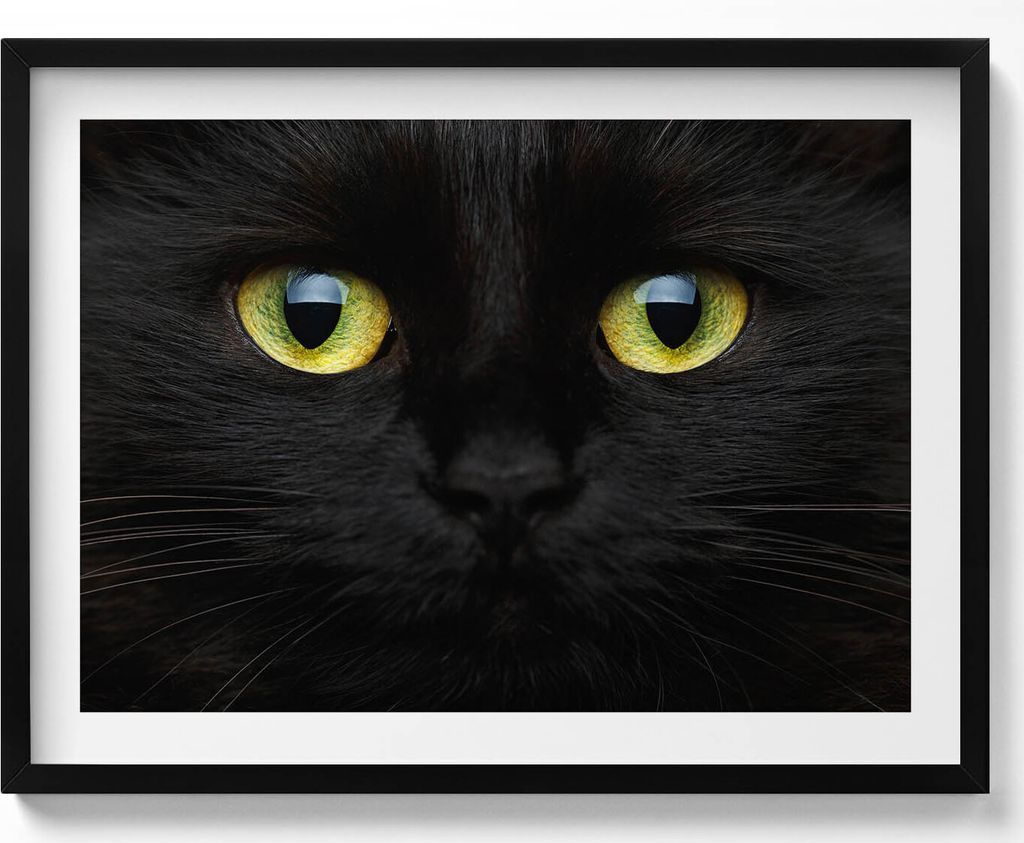 Tierische Katzenaugen– Wandbild mit Rahmen – Gerahmtes Bild – Wanddekoration – 80x60 cm – Schwarz Rahmen