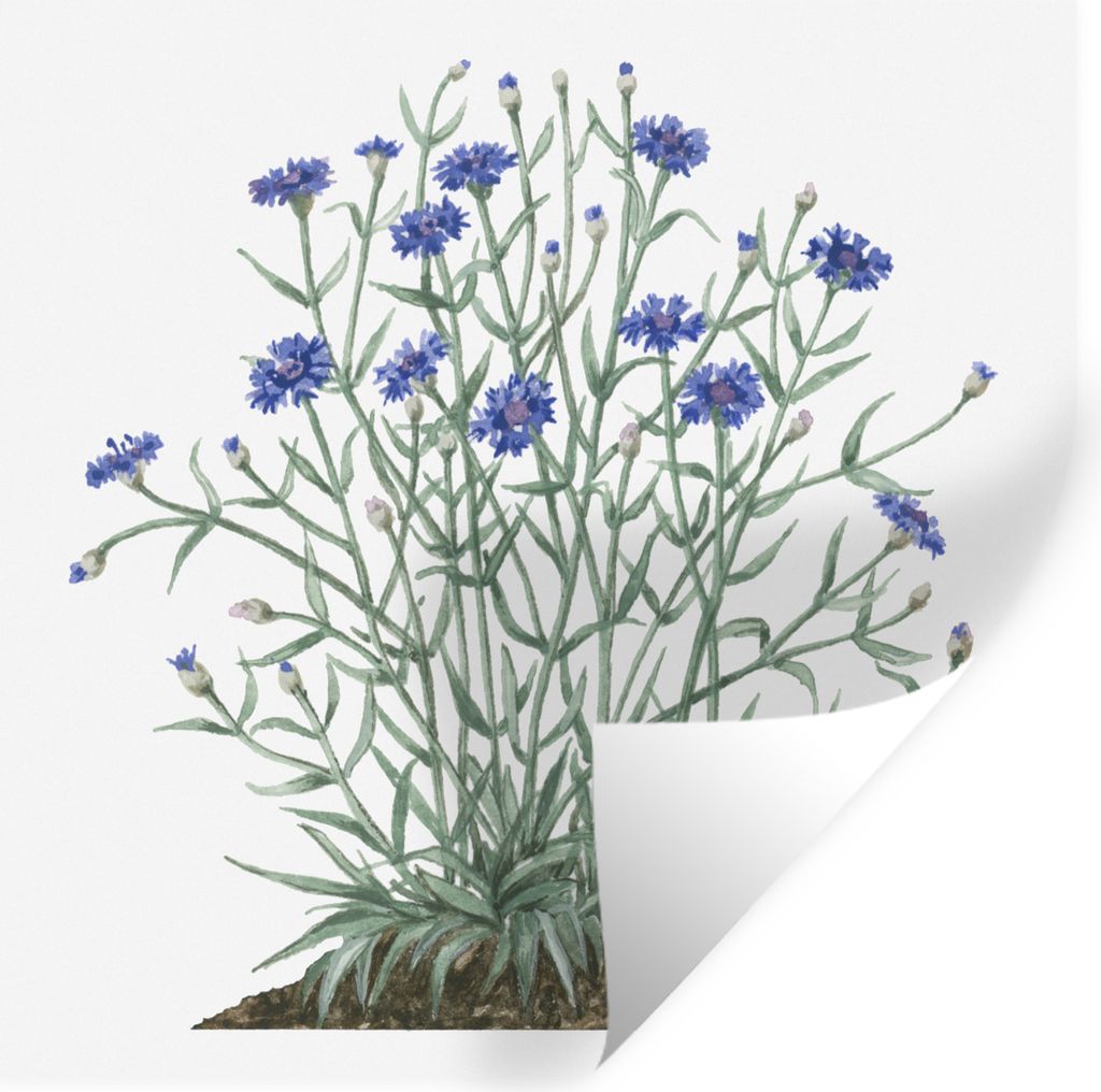 MuchoWow - Wierderverwendbar - Selbstklebend