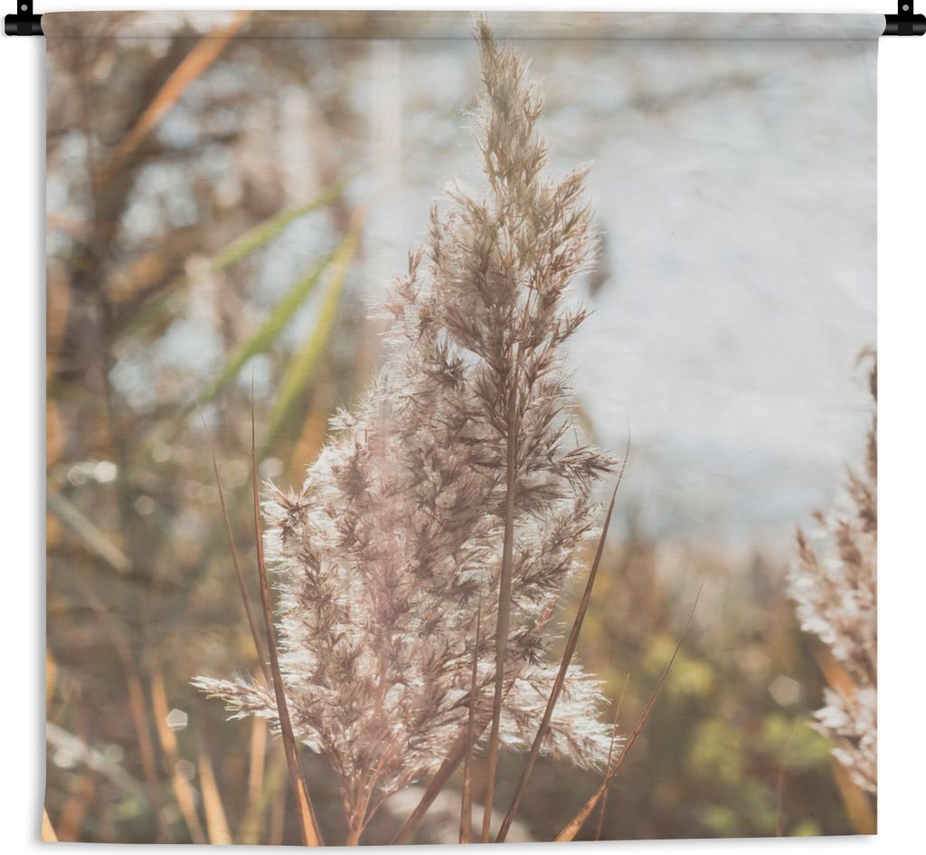 MuchoWow Wandteppich Wandbehang Schilf - Sonne - Pflanze 150x150 cm Tapisserie Dekoration Wandtuch - Wohnaccessoires - Modernes