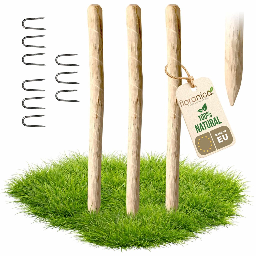 Floranica 3 x Zaunpfosten aus Haselnuss Höhe 120 cm Holzpfosten für Staketenzaun Kastanienzaun Holzpfähle Baumstütze Baumpfahl Stützpfosten