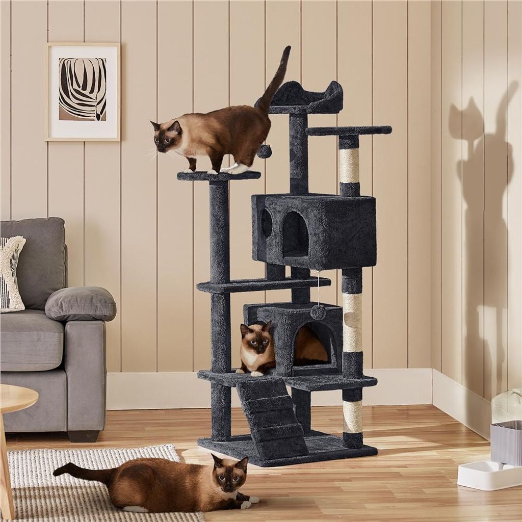 Three cats interact with a multi-level cat tree in a living room setting.