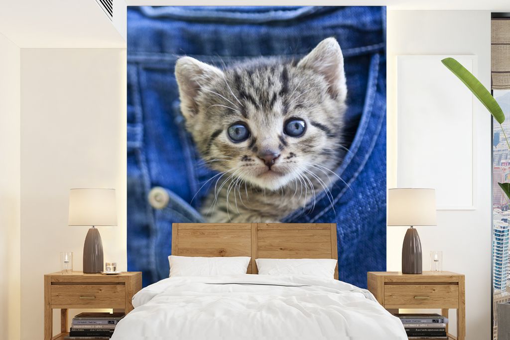MuchoWow Fototapete für Wohnzimmer oder Schlafzimmer Wandtapete Vinyl Motivtapete Ein Kätzchen in Denim-Jeans - 195x260 cm - Wandbild