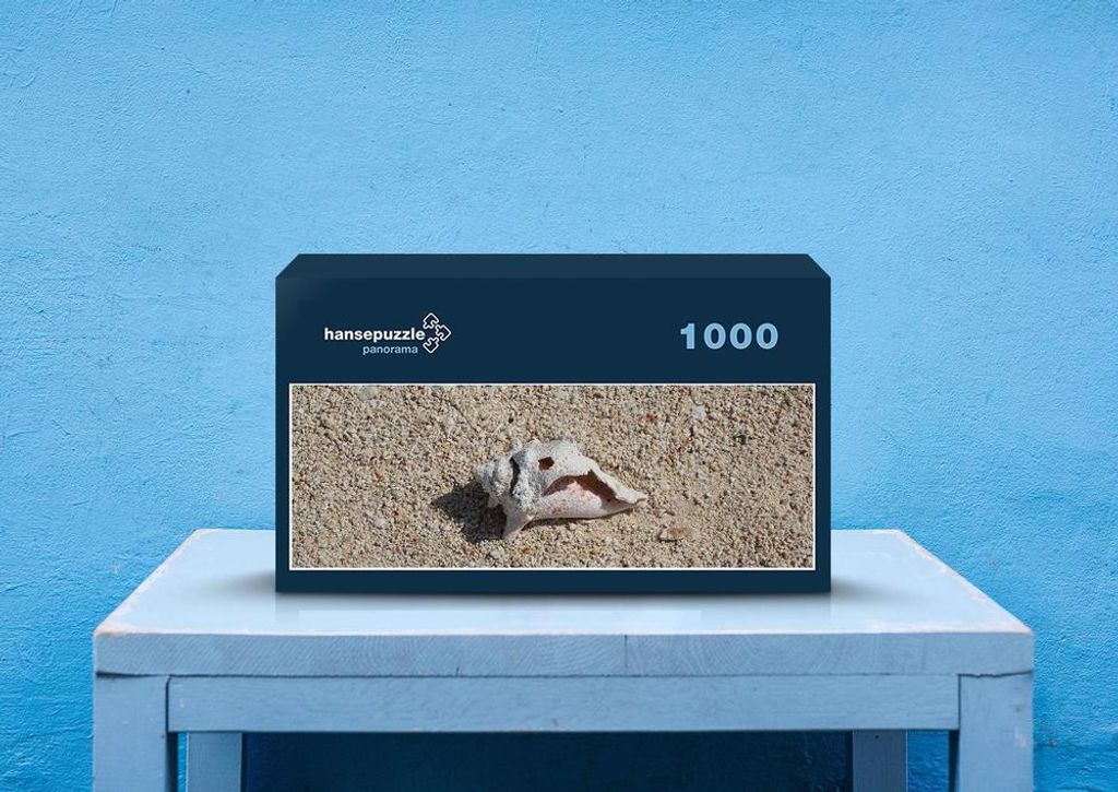 hansepuzzle 44775 - Strand Puzzle, 1050 Teile, Natur, 60,0 x 46,0cm mit hochwertiger Aufbewahrung, Kartonbox und wiederverschließbarem Beutel