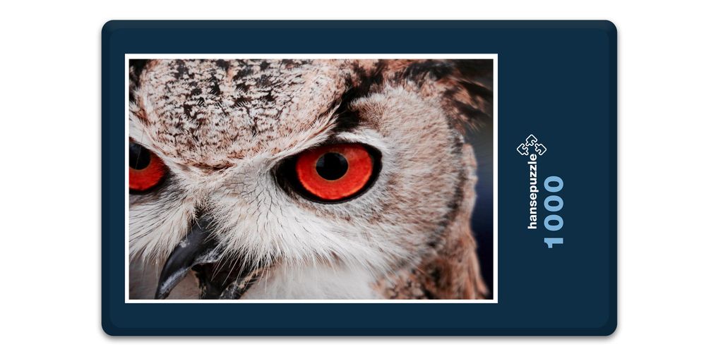 hansepuzzle 12240 - Eule Puzzle, 1000 Teile, Tierwelt, 60,0 x 46,0cm mit hochwertiger Aufbewahrung, Kartonbox und wiederverschließbarem Beutel