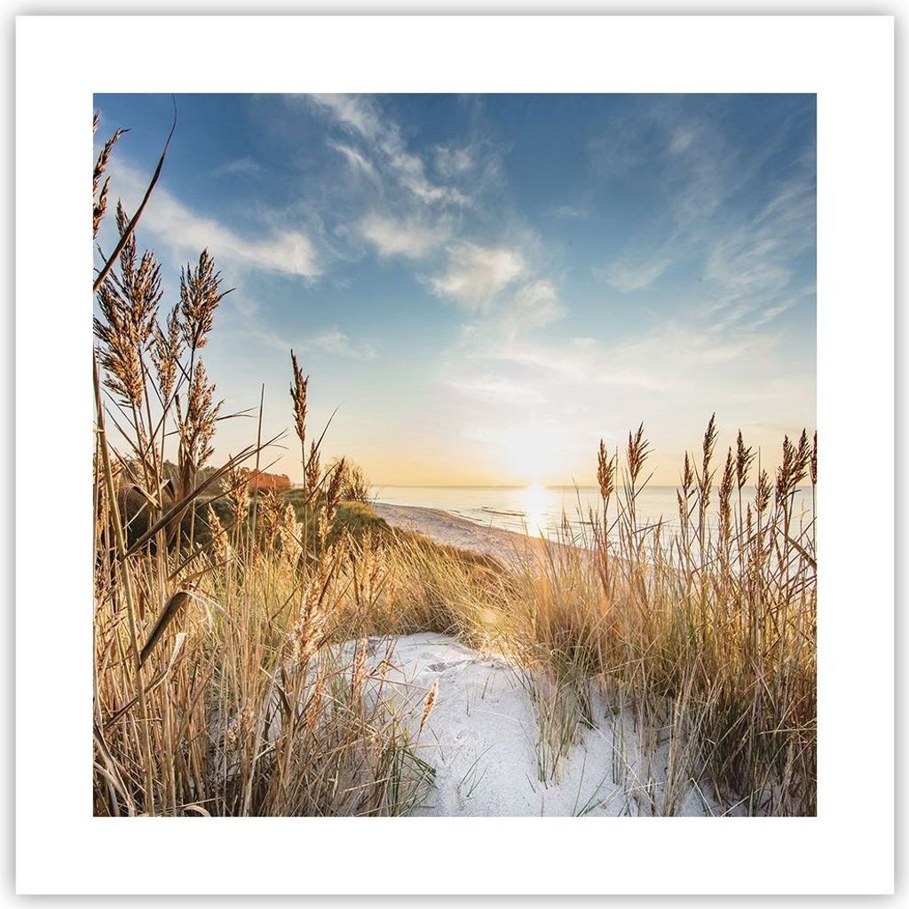 Poster - Poster ohne Rahmen - Ähren Küste Sonne - 40x40 cm - Wand Bild - Wanddeko - Wandbilder - Kunstposter - Wandposter - Bilder - Kunstdruck -...