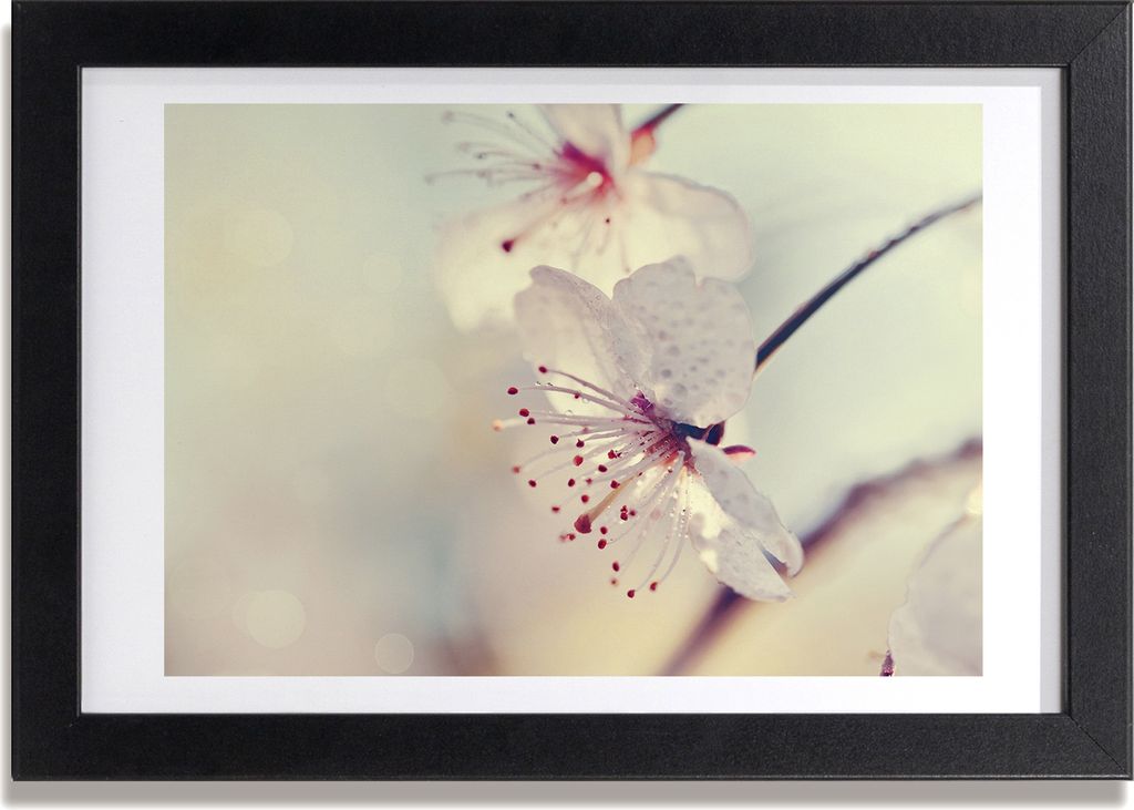 Bild 30x20 MDF-Rahmen, Wandkunst Kirschblüte