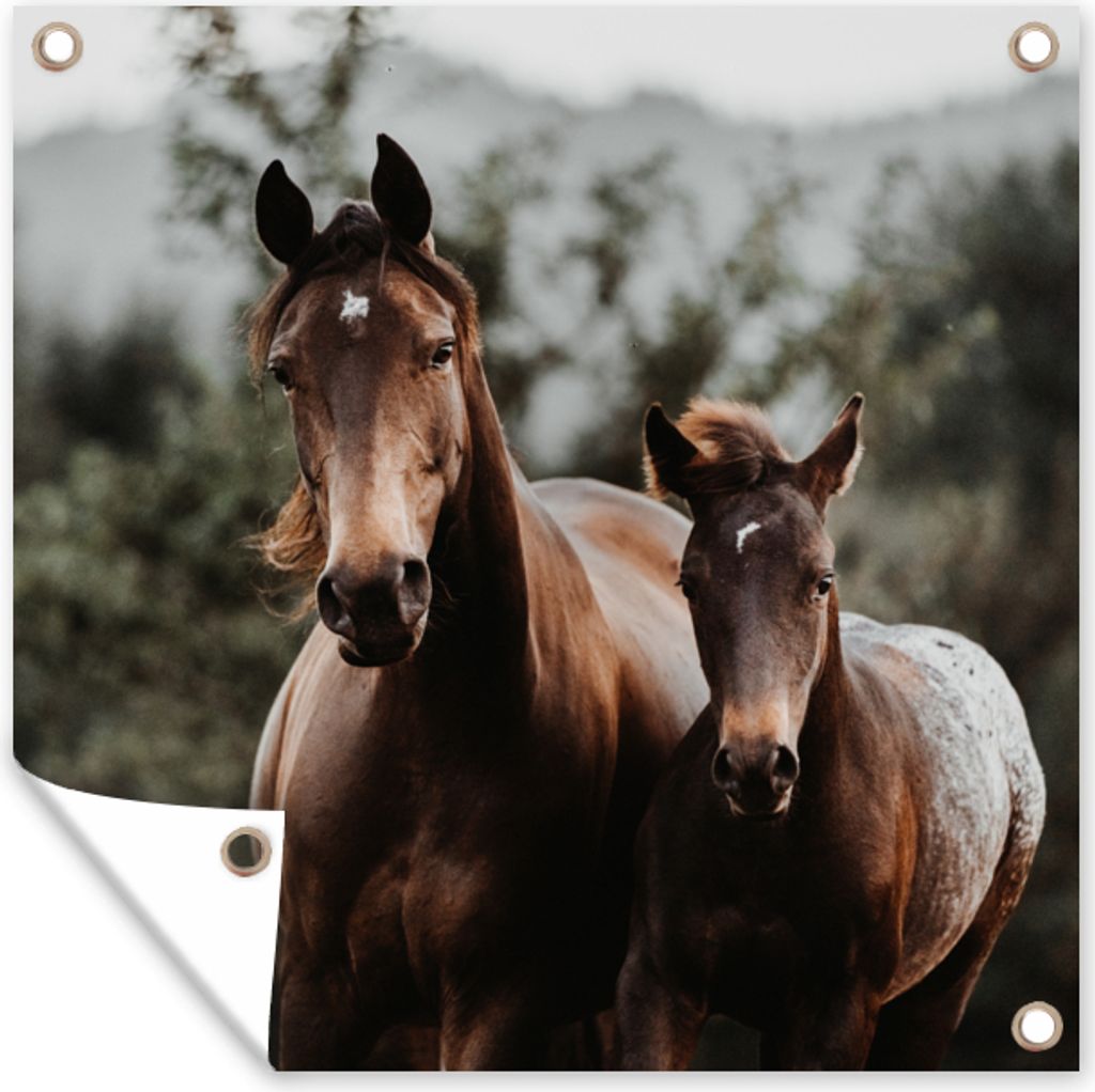 MuchoWow 100x100 cm Outdoor-Poster Gartendeko Sichtschutz Garten Poster für den Garten Pferde - Wald - Berge
