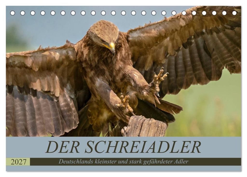 Der Schreiadler (Clanga pomarina) - Deutschands kleinster und stark gefährdeter Adler. (Tischkalender 2027 DIN A5 quer), CALVENDO Monatskalender