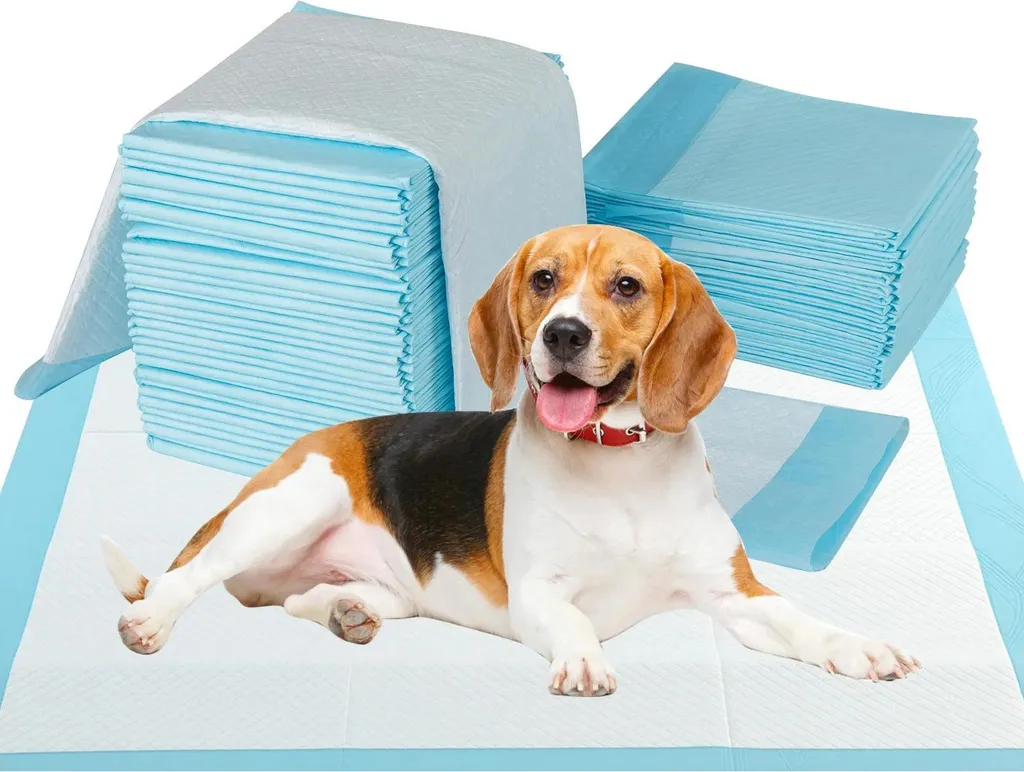 Couches pour chiens à séchage rapide et ultra absorbantes pour tout âge