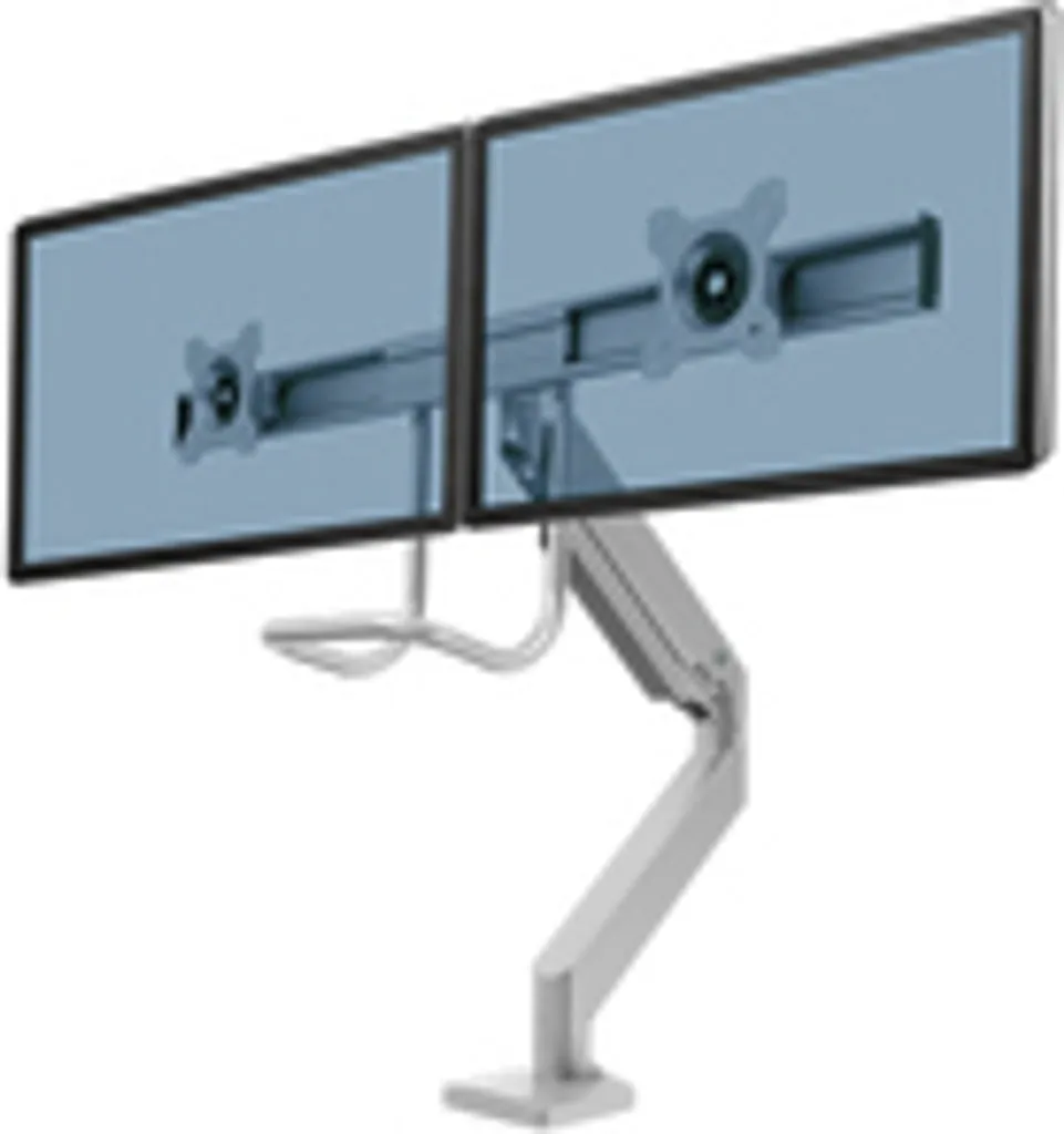 Support Écran Ergonomique Fellowes TIS 32 Pouces pour Bureau et Télétravail