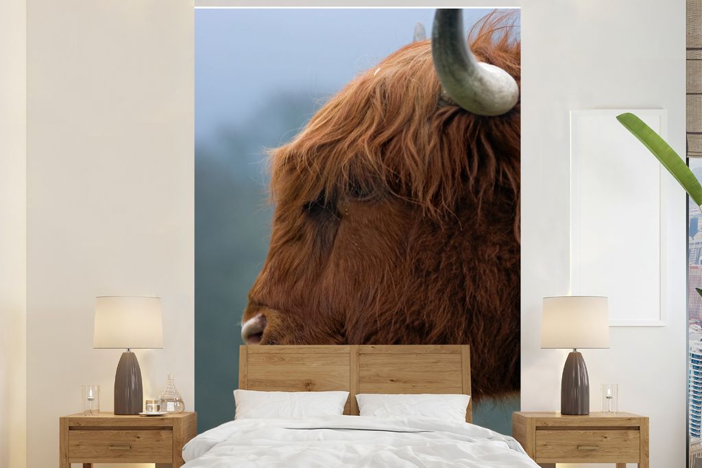 MuchoWow Fototapete für Wohnzimmer oder Schlafzimmer Wandtapete Vinyl Motivtapete Schottischer Highlander - Kuh - Nahaufnahme - 170x260 cm - Woh...