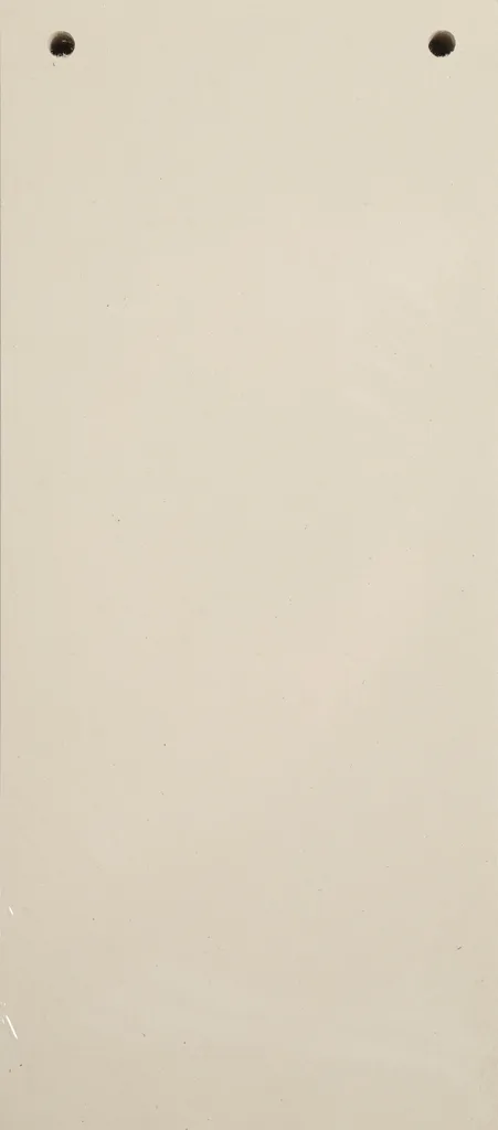 Lot 12x100 Fiches 105x240 Ivoire Exacompta 13475B - Format Large