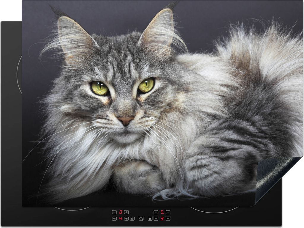 KitchenYeah Herdabdeckplatte Eine schöne liegende Maine Coon Katze , 70x52cm, Küche Deko, Glaskeramikfeld Herdabdeckung, Abdeckplatte fùr Koch...