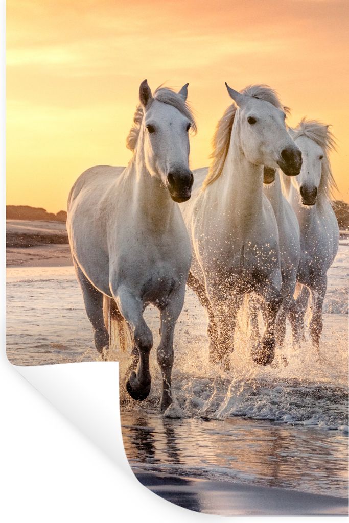 MuchoWow Wandtattoo Wandsticker Wandaufkleber Pferde - Sonne - Meer - Strand - Tiere 80x120 cm Selbstklebend und Repositionierbar - Repositionier...