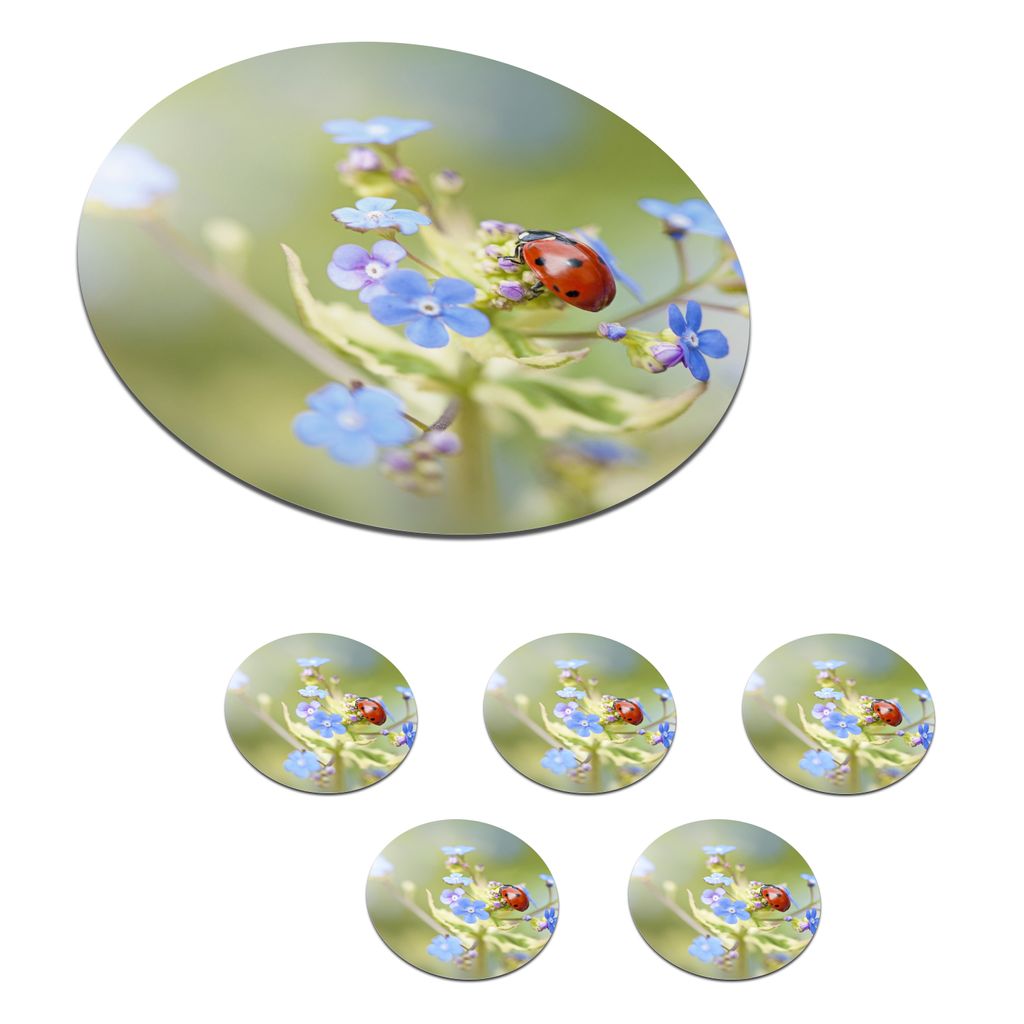 KitchenYeah Glasuntersetzer Rund 6er Set Marienkäfer - Blume - Frühling 10x10 cm Untersetzer für Gläser - Getränkeuntersetzer - Tischplatte...