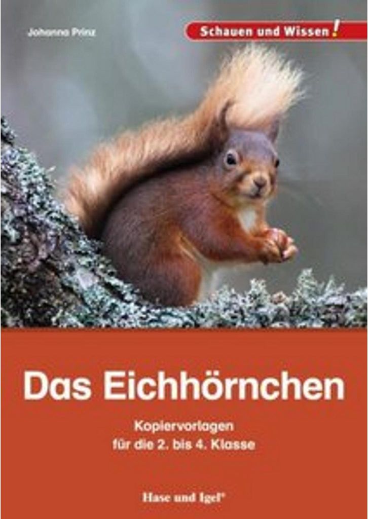 Das Eichhörnchen - Kopiervorlagen für die 2. bis 4. Klasse