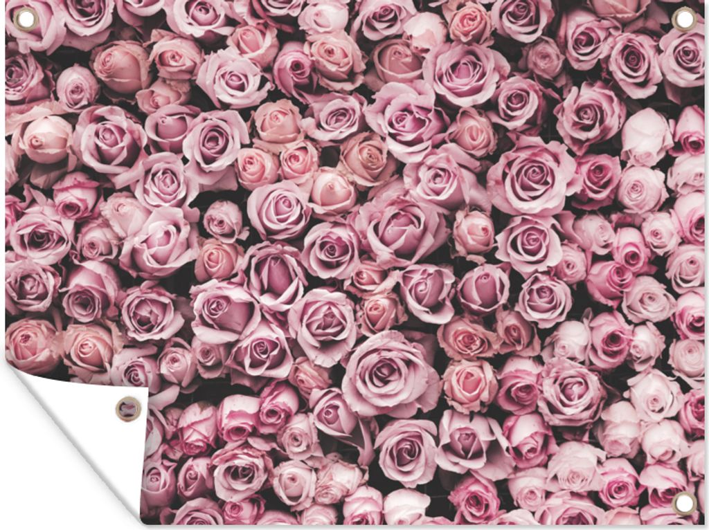 MuchoWow 40x30 cm Outdoor-Poster Gartendeko Sichtschutz Garten Poster für den Garten Blumen - Rosen - Natur - Rosa - Botanisch