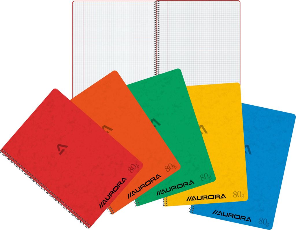 Aurora - Notizbuch A4 Diamant 5x5mm 120 Seiten 80gr sortiert | 10 Stück