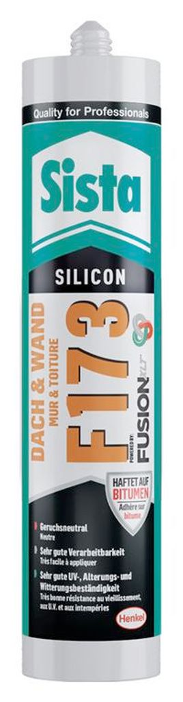 Walraven Sista F173 Dach- & Wand-Silikon 300ml transparent Produktbild 