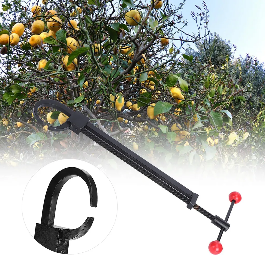 Outil pour Courber les Branches de Bonsaï Création de Formes de Tronc - 4