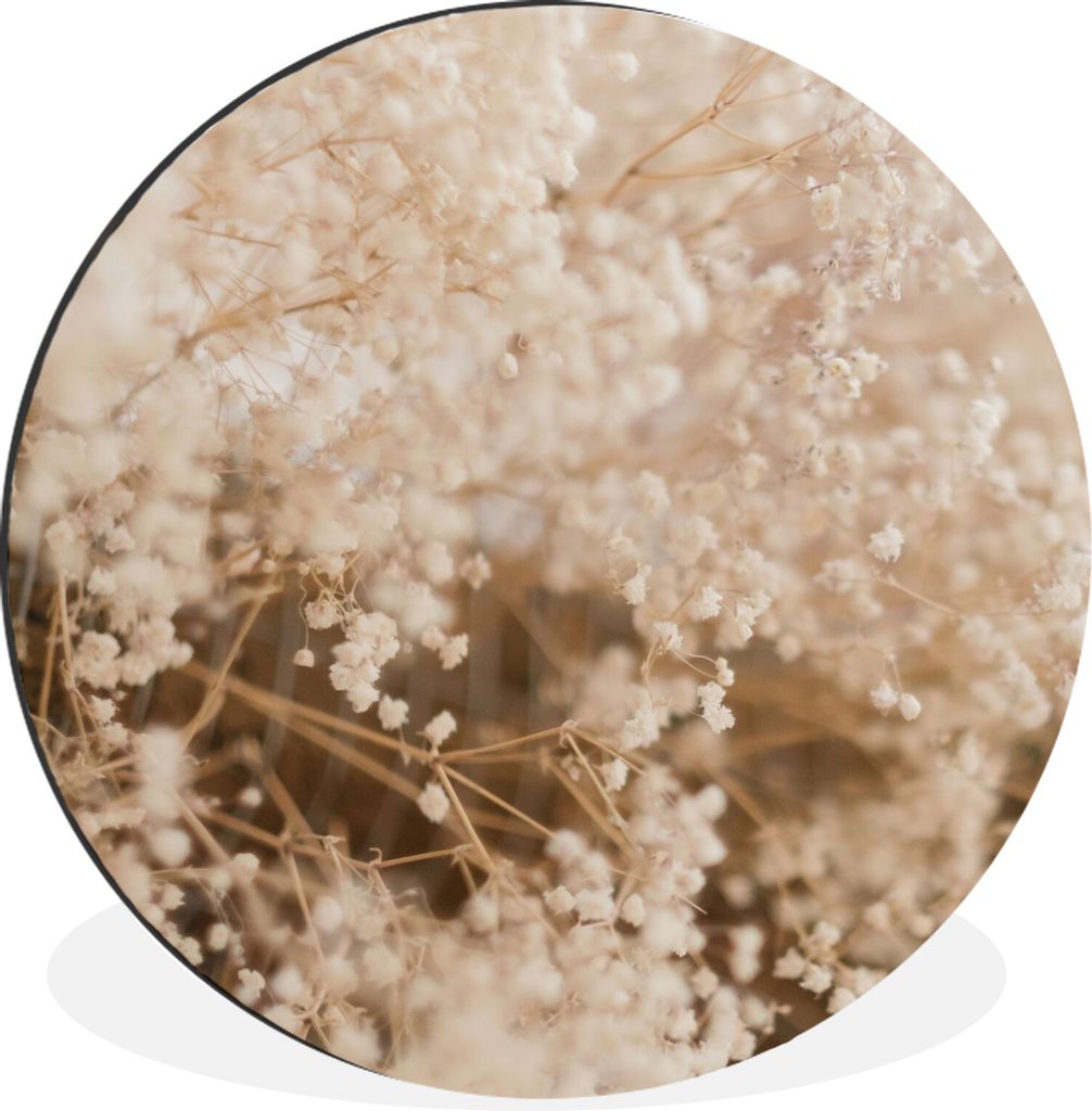 MuchoWow Aluminium Wandkreis Pampasgras - Pflanze - Natur Ø 30 cm Wanddeko Modern Wohnzimmer - Wand Bild - Wohnzimmer - Runde Bilder - Alubilder...