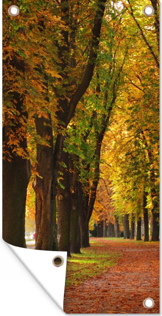 MuchoWow 80x160 cm Outdoor-Poster Gartendeko Sichtschutz Garten Poster für den Garten Eine von Kastanienbäumen gesäumte Straße in Stuttgart,...