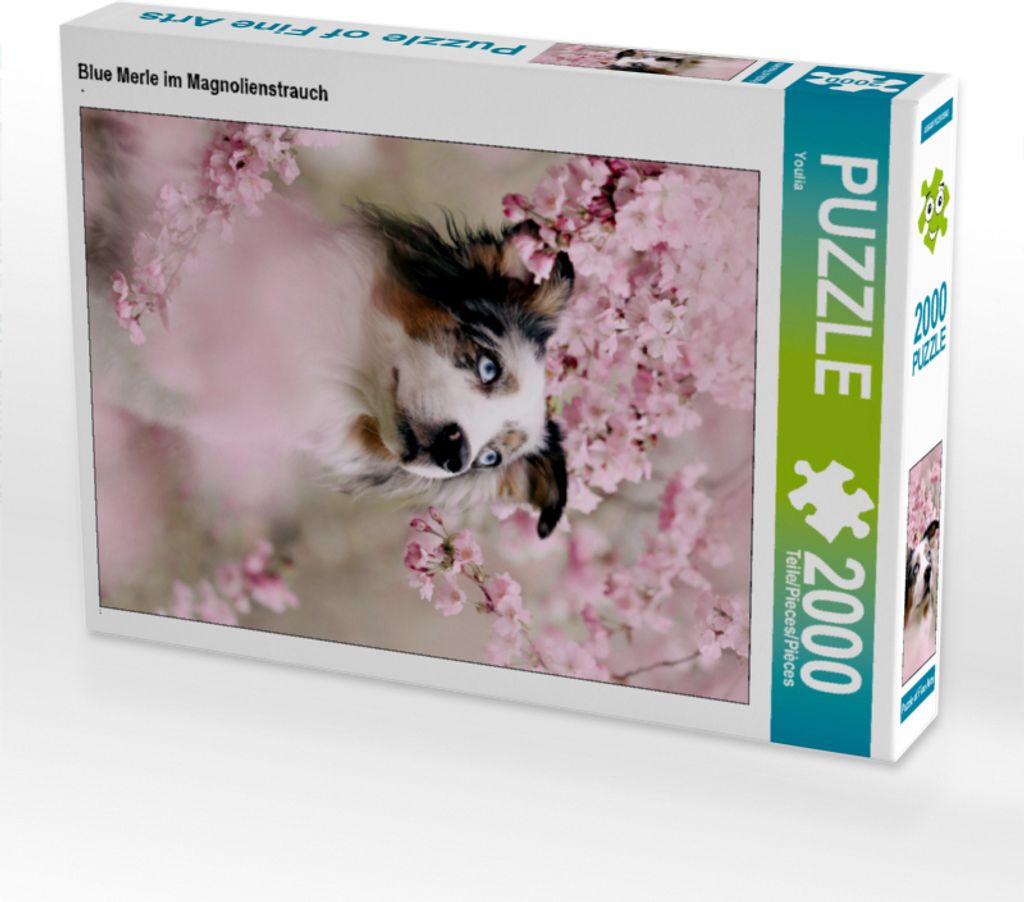 CALVENDO Puzzle Blue Merle im Magnolienstrauch 2000 Teile Puzzle hoch | 2000 Teile Lege-Größe 90x67cm Foto-Puzzle für glückliche Stunden