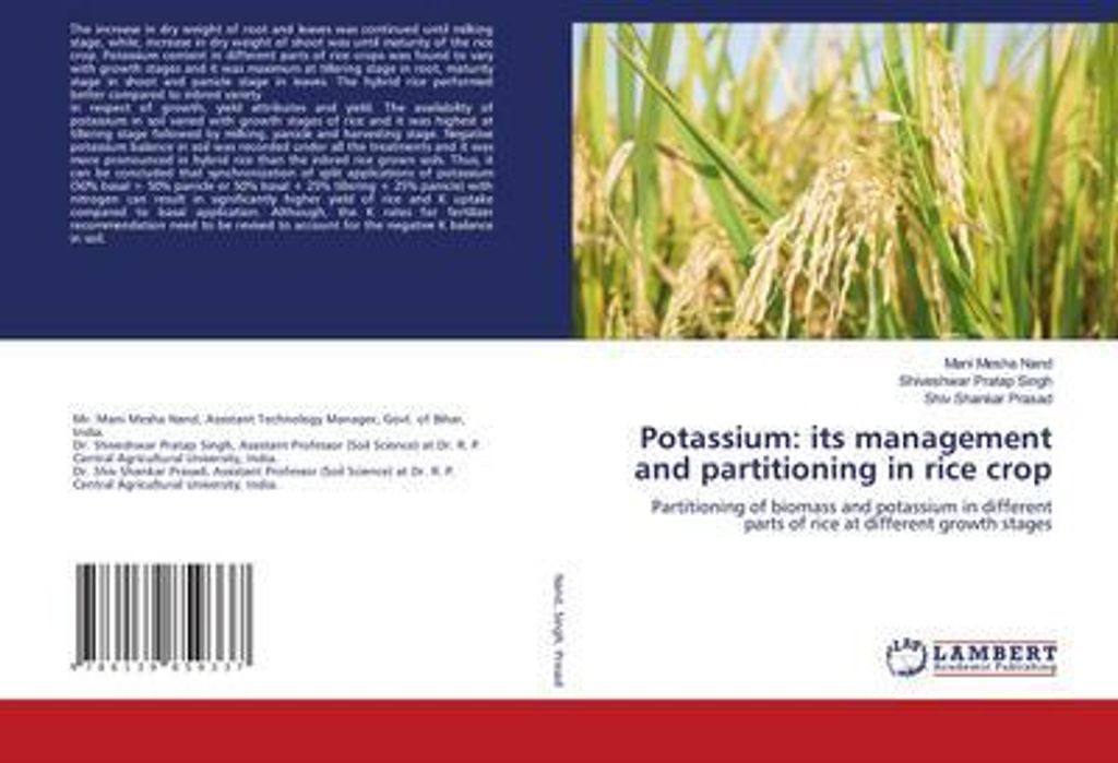 Potassium: its management and partitioning in rice crop