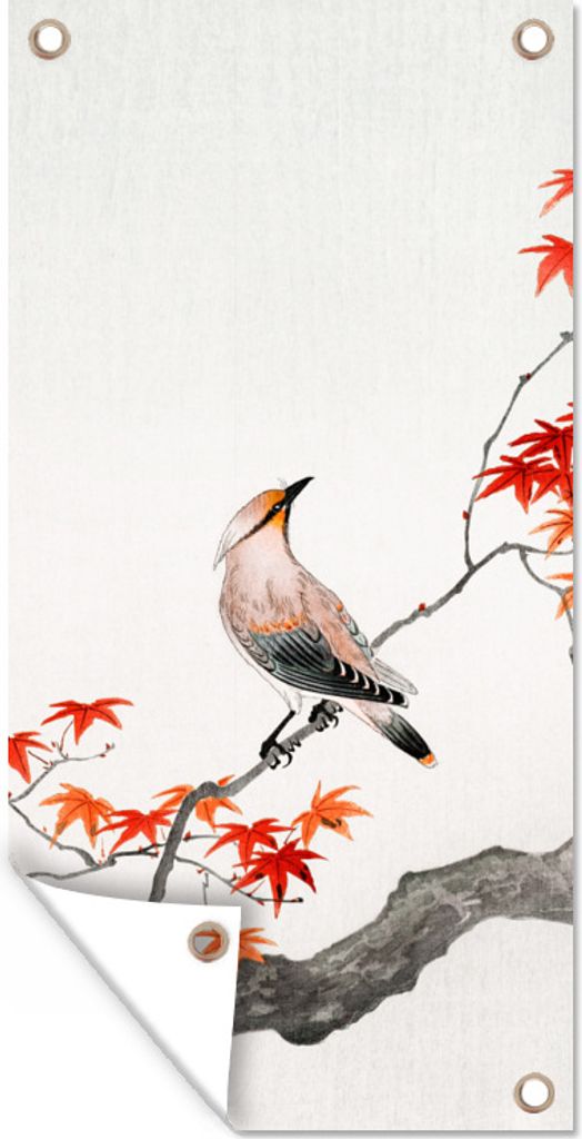 MuchoWow 80x160 cm Outdoor-Poster Gartendeko Sichtschutz Garten Poster für den Garten Japanischer Ahorn - Skandinavisch - Vogel - Zweig