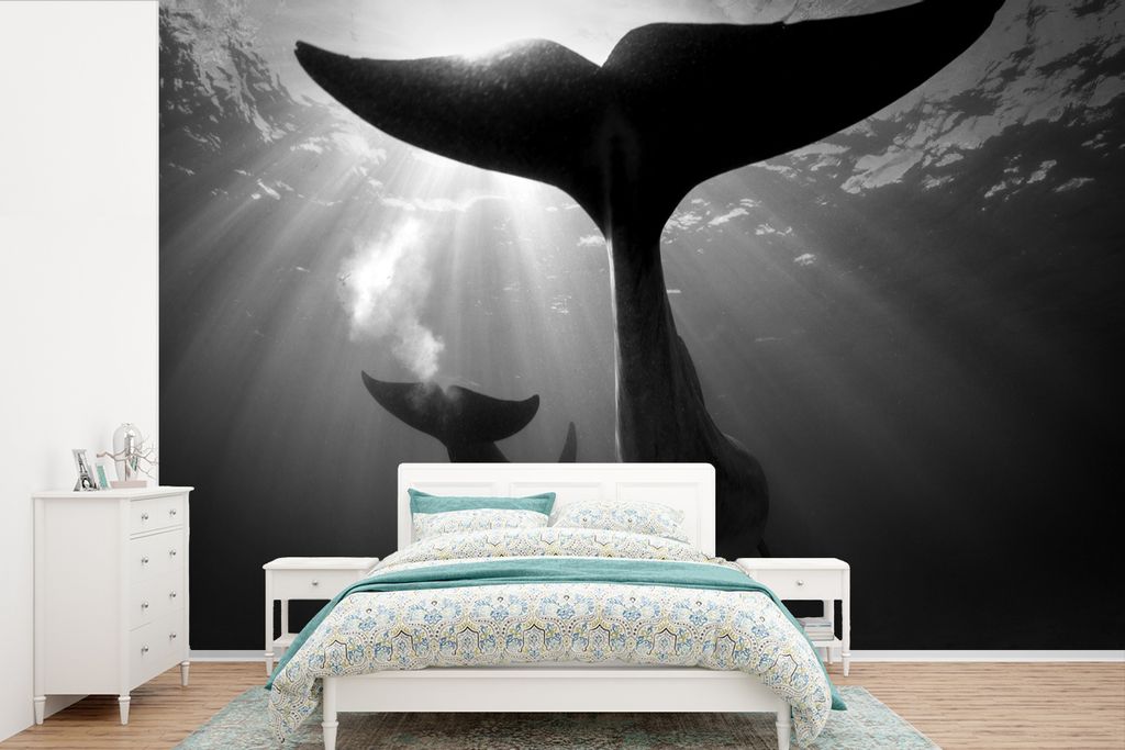 MuchoWow Fototapete für Wohnzimmer oder Schlafzimmer Wandtapete Vinyl Motivtapete Zwei Delphine - schwarz und weiß - 525x350 cm - Das Hintergru...
