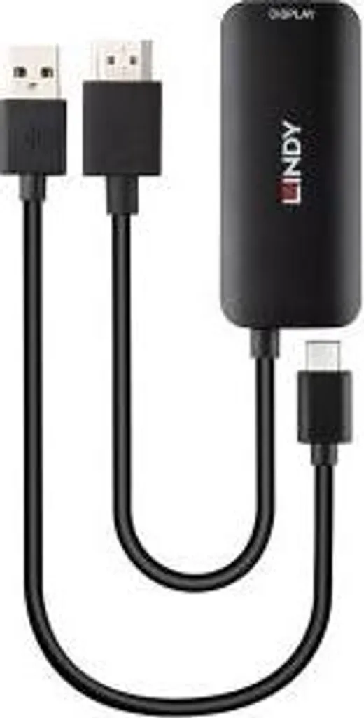 Lindy 43423 Solution Conversion HDMI vers USB Type C sans Perte de Signal - 2
