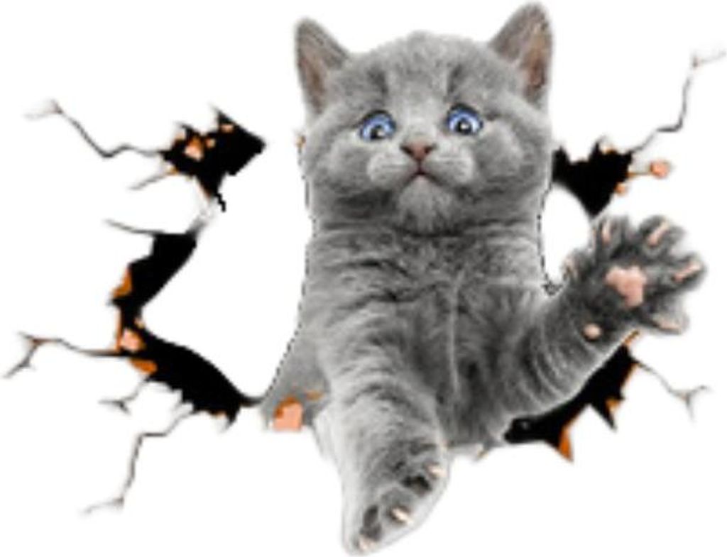 INF Kreative 3D Autoaufkleber Graue Katze PVC 14.5x18cm 2er-Set