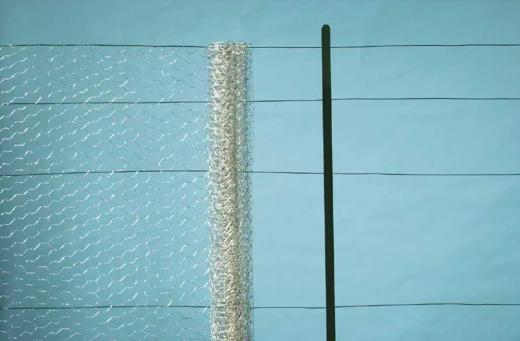 Grillage à poule triple torsion galvanisé 25mm rouleau de 1 x 50 m
